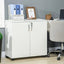 ProperAV Extra Lockable 2-Tier Storage Filing Cabinet