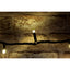 Lyyt Heavy Duty Warm White LED String Lights