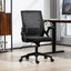 ProperAV Extra Mesh Ergonomic Office Chair with Lumbar Support & Flip-Up Arms