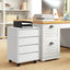 ProperAV Extra Mobile Vertical Filing Cabinet with 4 Drawers - White