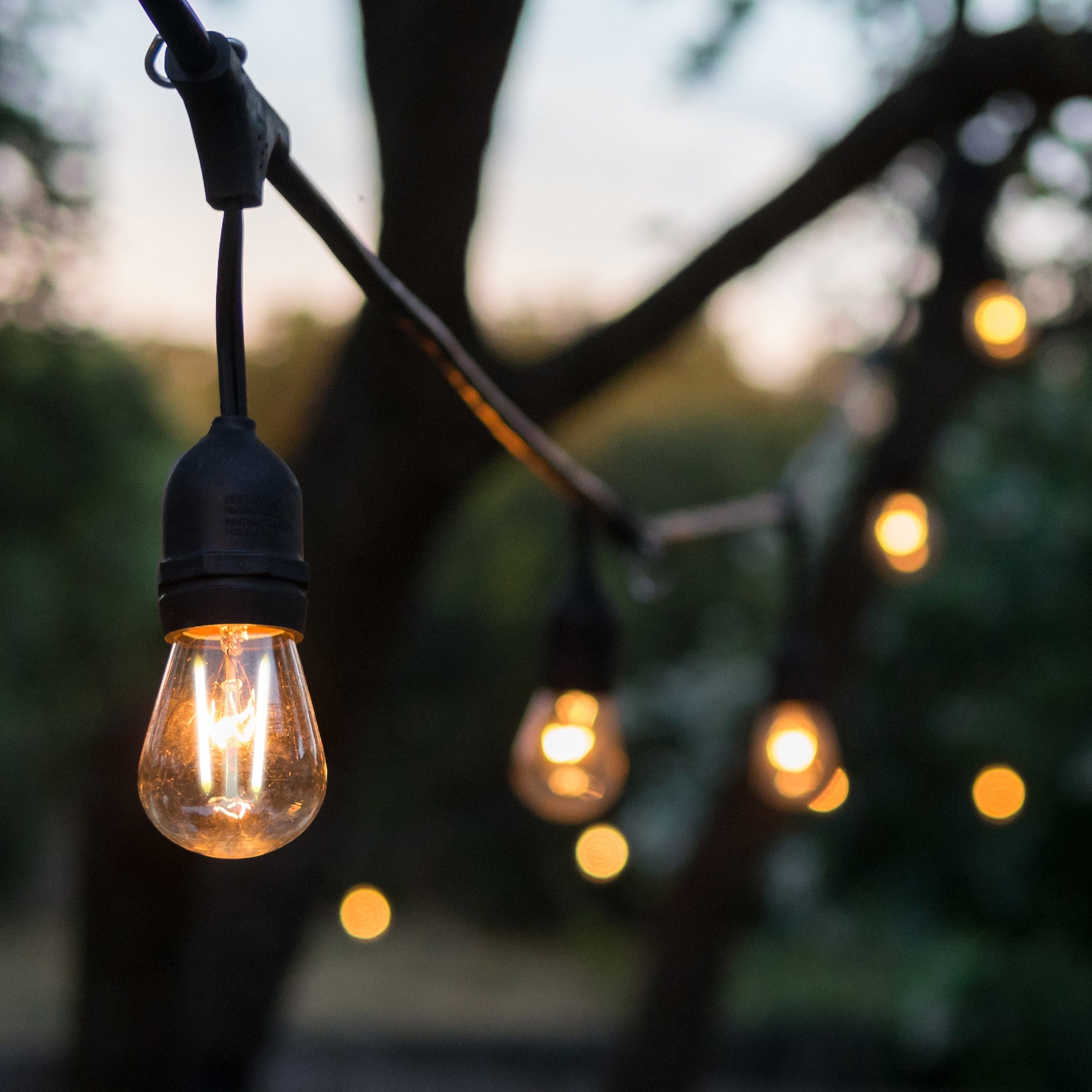 Led bulbs for outdoor string deals lights