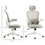 ProperAV Extra Mesh Ergonomic Office Chair with Headrest, 4D Lumbar Support & Flip-Up Arms - Grey